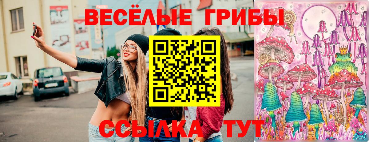 Галлюциногенные грибы Cubensis Воткинск
