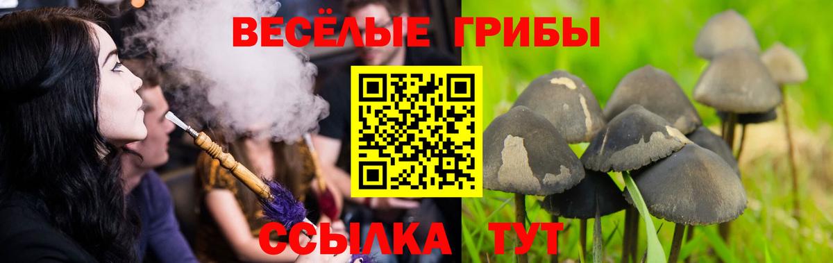 Воткинск  Псилоцибиновые грибы Magic Shrooms  Вход с VPN 